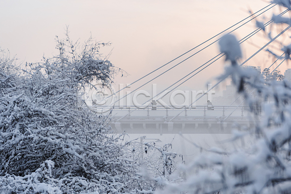 추위 두명 사람 JPG 포토 겨울 겨울풍경 나뭇가지 눈(날씨) 눈덮임 다리(건축물) 상반신 설경 야외 주간 하늘