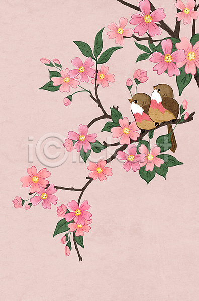 사람없음 PSD 일러스트 나뭇가지 동양화 두마리 민화 벚꽃 벚나무 분홍색 쌍 잎 조류 화조화