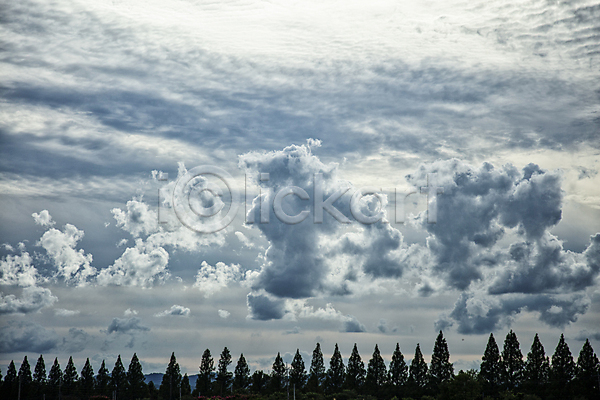 사람없음 JPG 포토 경상남도 구름(자연) 나무 맑음 뭉게구름 야외 주간 풍경(경치) 하늘