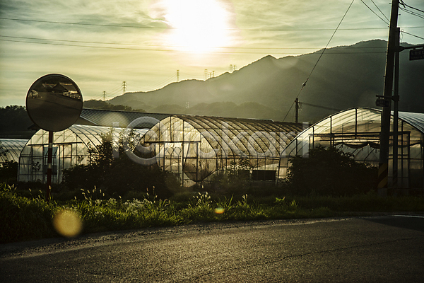 사람없음 JPG 포토 강원도 농촌 반사경 비닐하우스 산 아스팔트길 야외 역광 일몰 주간 풍경(경치) 햇빛
