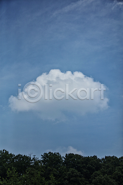 부드러움 사람없음 JPG 포토 경기도 구름(자연) 나뭇잎 수원 야외 주간 풍경(경치) 하늘