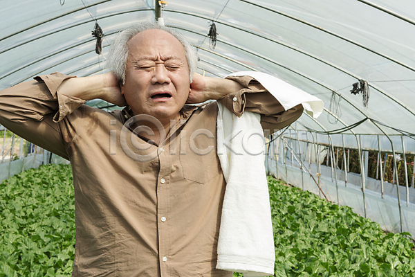 70대 남자 노년 노인남자한명만 한국인 한명 JPG 앞모습 포토 가을(계절) 감싸기 귀농 근대 농부 농촌 뇌졸중 두통 밭 비닐하우스 상반신 수건 실내 여주(지역) 전원생활 주간 찡그림