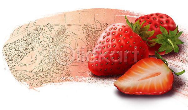 성인 성인여자만 여러명 여자 PSD 일러스트 과수원 농사 농업 농작물 딸기 딸기밭 바구니 반쪽 비닐하우스 빨간색 수확 슬라이스 웅크림 전신