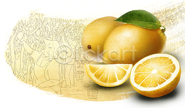 두명 성인 성인여자만 여자 PSD 일러스트 과수원 노란색 농사 농업 농작물 레몬 바구니 반쪽 상반신 서기 수확 슬라이스 전신 챙모자