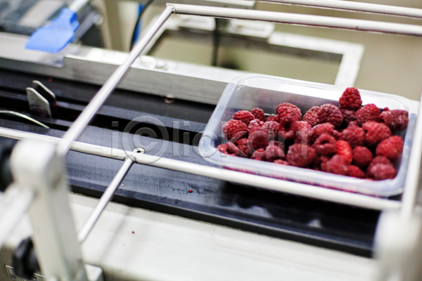 사람없음 JPG 소프트포커스 포토 해외이미지 공장 기계 냉동 냉동식품 담기 산딸기 식품공장 제조 포장용기