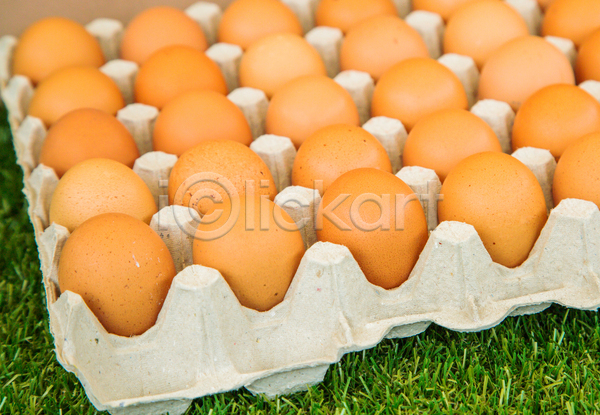 사람없음 JPG 포토 해외이미지 계란 계란판 실내 잔디