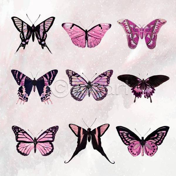 사람없음 EPS 일러스트 해외이미지 나비 다양 분홍색 뷰티 세트 스티커 종류
