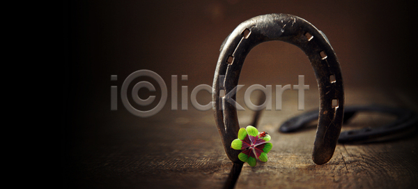 새로움 성공 축하 행복 행운 희망 사람없음 JPG 포토 해외이미지 4 금속 기념 목재 미신 백그라운드 부적 사인 생일 선물 성자 수확 신용카드 심볼 아일랜드 연도 옛날 인사 잎 장식 재산 철 철강 초록색 최고 축제 클로버 토끼풀 파티 편자 해외포토 휴가