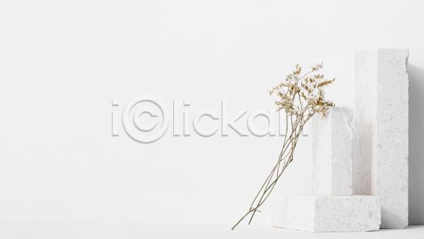 사람없음 JPG 포토 해외이미지 그림자 꽃 벽돌 실내 카피스페이스 흰배경