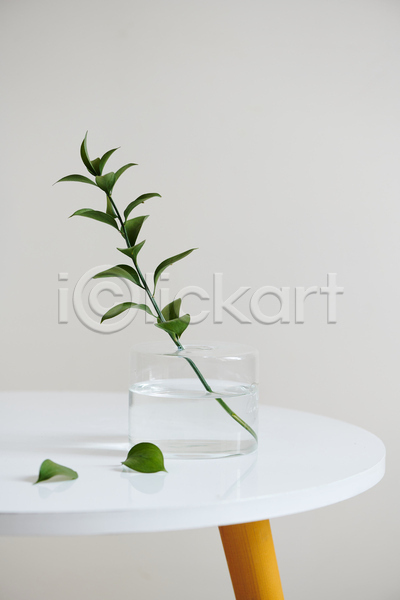 사람없음 JPG 포토 해외이미지 실내 오브젝트 유리 잎 탁자 풀(식물) 화분 흰배경