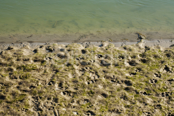 사람없음 JPG 포토 해외이미지 강 길 내추럴 동물 땅바닥 물 발자국 백그라운드 사슴 선로 야생동물 야외 자연 진흙 트랙