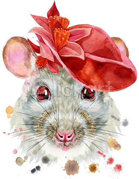 사람없음 JPG 일러스트 포토 해외이미지 꽃 디자인 모자(잡화) 미술 백그라운드 수채화(물감) 쥐