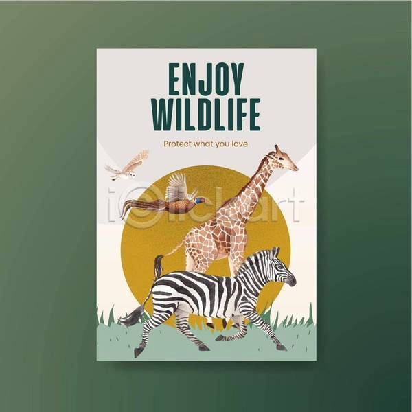 사람없음 EPS 일러스트 해외이미지 걷기 기린 꿩 비행 야생동물 얼룩말 올빼미 조류 초원(자연) 포스터 한마리