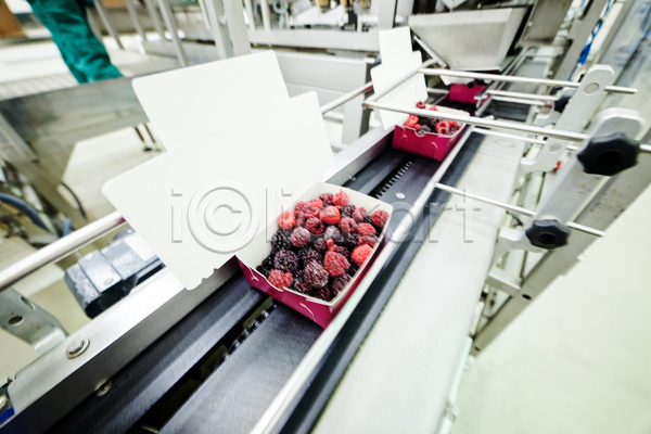 사람없음 JPG 포토 해외이미지 공장 기계 냉동 냉동식품 담기 분류 산딸기 식품공장 제조 포장용기