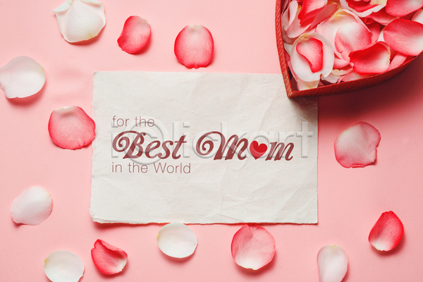 사람없음 JPG 포토 해외이미지 꽃잎 담기 분홍색배경 실내 어머니의날 영어 종이 하트상자