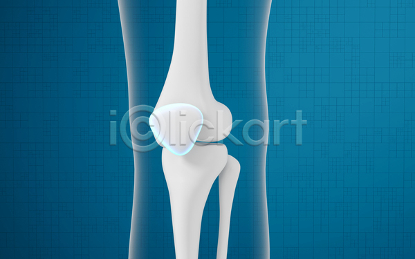 사람없음 3D JPG 해외이미지 관절뼈 다리뼈 무릎 의학 파란색