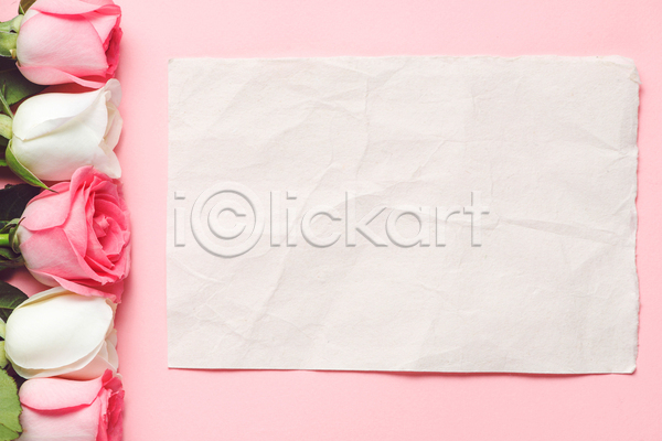 사람없음 JPG 포토 해외이미지 분홍색배경 실내 어머니의날 장미 종이 카피스페이스
