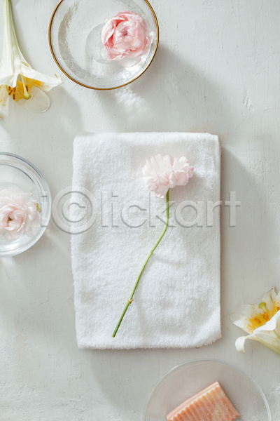 사람없음 JPG 포토 하이앵글 해외이미지 꽃 수건 실내 오브젝트 흰배경