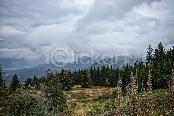 사람없음 JPG 포토 구름(자연) 나무 벤쿠버 산 숲 야외 주간 캐나다 풍경(경치) 하늘 해외풍경