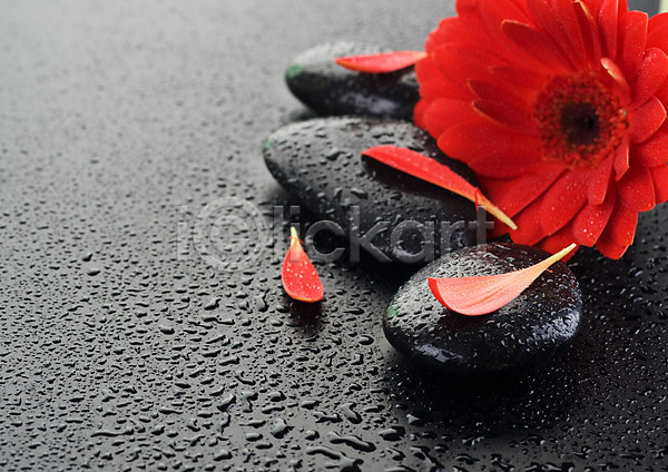 사람없음 JPG 포토 해외이미지 검은색 꽃 꽃잎 마사지 물 물방울 백그라운드 빨간색 스파 쌓기 젖음 조약돌 컨셉 해외202004