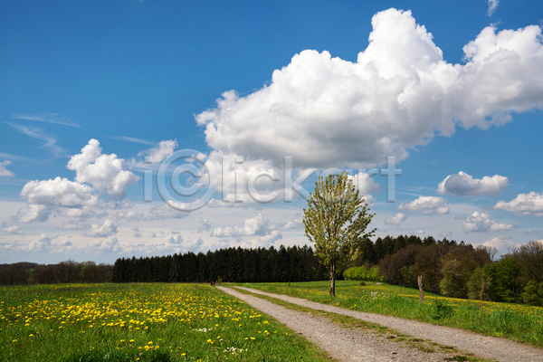 사람없음 JPG 포토 해외이미지 구름(자연) 길 나무 내추럴 독일 방법 봄 생태계 시골 식물 야외 여름(계절) 여행 오솔길 유럽 자연 파노라마 풍경(경치) 하늘 하이킹 환경