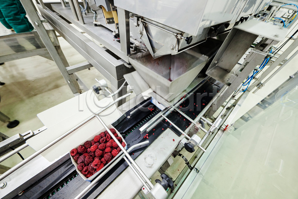 사람없음 JPG 포토 해외이미지 공장 기계 냉동 냉동식품 담기 산딸기 식품공장 제조 포장용기