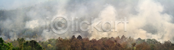 위험 사람없음 JPG 포토 해외이미지 나무 산 산불 숲 야외 연기
