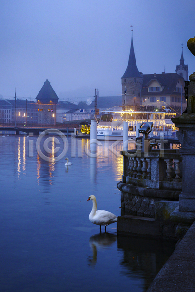사람없음 JPG 포토 해외이미지 강 건물 도시 도시풍경 루체른 백조 새벽 스위스 야간 야외 해외풍경