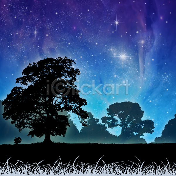 사람없음 JPG 실루엣 포토 해외이미지 나무 밤하늘 별 시골 야간 파란색 풍경(경치)