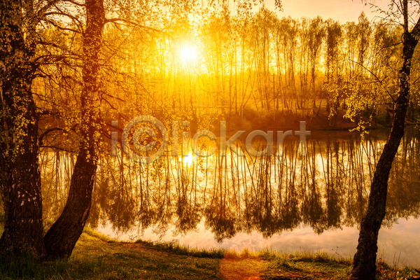 사람없음 JPG 포토 해외이미지 강 나무 야외 일몰 자연 태양 풍경(경치) 햇빛