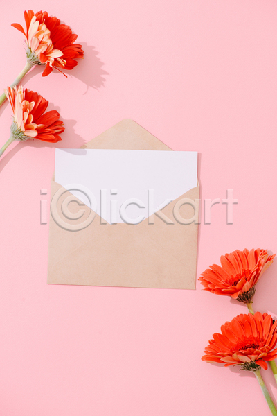 사람없음 JPG 포토 해외이미지 꽃 목업 분홍색배경 실내 오픈 카드(감사) 편지봉투