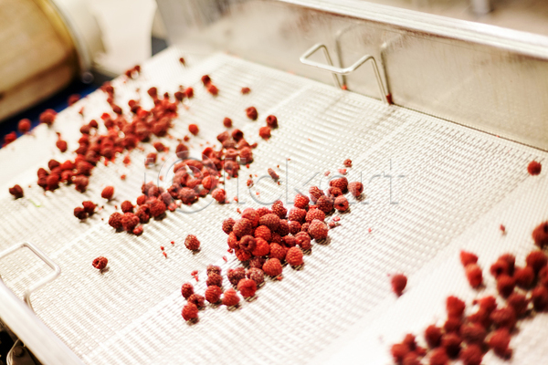 사람없음 JPG 포토 해외이미지 공장 과일 기계 냉동 냉동식품 산딸기 식품공장 얼음 음식 제조