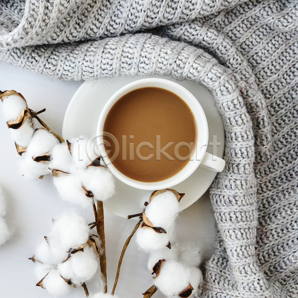 사람없음 JPG 포토 하이앵글 해외이미지 가을(계절) 니트 목화꽃 목화솜 실내 커피 흰배경