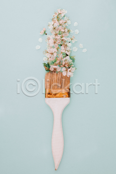 사람없음 JPG 포토 해외이미지 꽃잎 미술 벚꽃 컨셉 파란배경 페인트붓