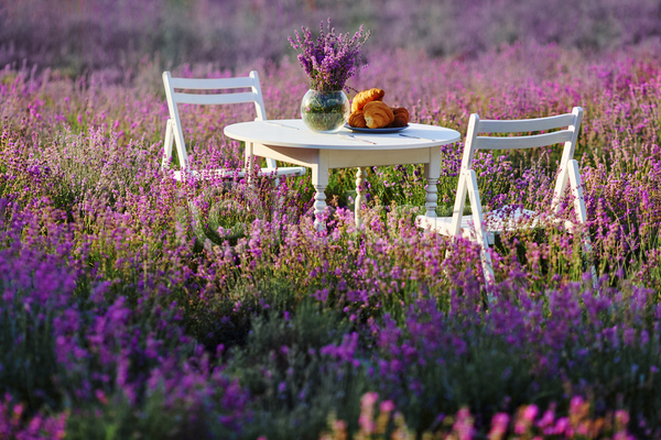 사람없음 JPG 포토 해외이미지 꽃병 라벤더 보라색 식기 야외 여름(계절) 의자 주간 크루아상 탁자 풍경(경치)