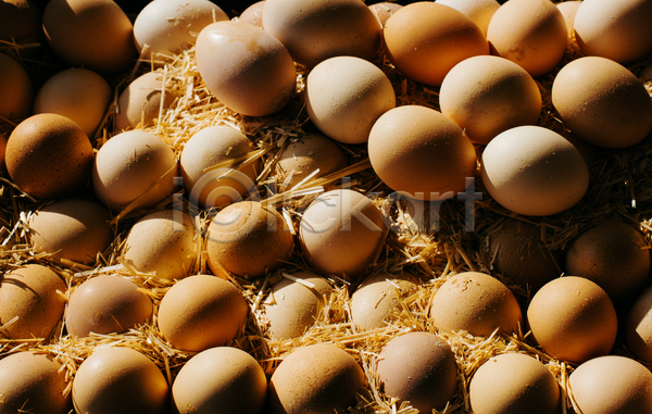 사람없음 JPG 포토 해외이미지 가득함 계란 그림자 볏짚 실내