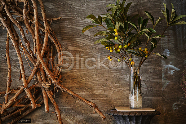 분위기 빈티지 사람없음 JPG 포토 과일 과일나무 나뭇가지 벽 실내 유리병 인테리어 탁자 화분