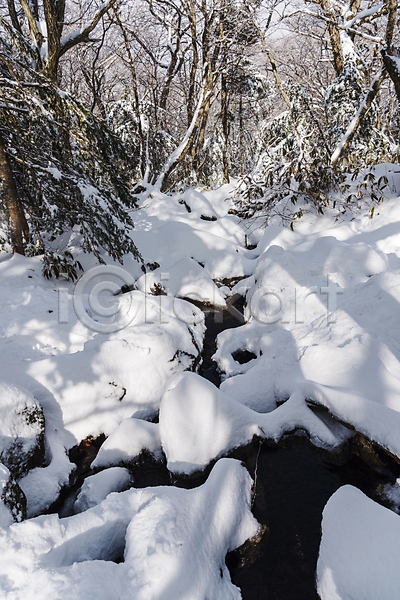 사람없음 JPG 포토 겨울 겨울풍경 나무 눈(날씨) 눈덮임 산속 설경 야외 제주도 주간 한라산