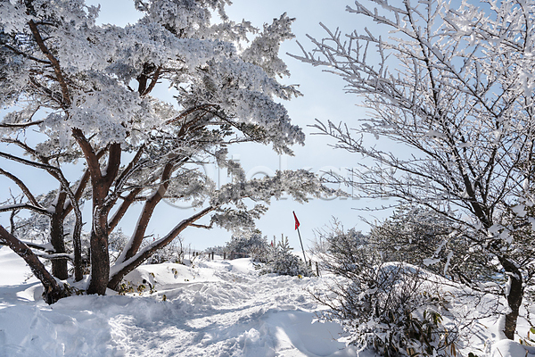 사람없음 JPG 포토 겨울 겨울풍경 깃발 나무 눈(날씨) 눈덮임 맑음 산속 상고대 설경 야외 제주도 주간 하늘 한라산