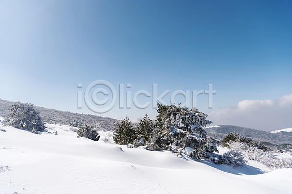 사람없음 JPG 포토 겨울 겨울풍경 구름(자연) 눈(날씨) 눈덮임 맑음 설경 야외 제주도 주간 하늘 한라산