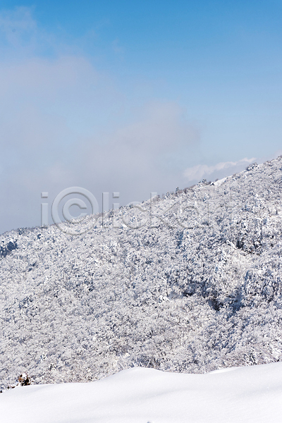 사람없음 JPG 포토 겨울 겨울풍경 구름(자연) 나무 눈(날씨) 눈덮임 상고대 설경 야외 제주도 주간 하늘 한라산