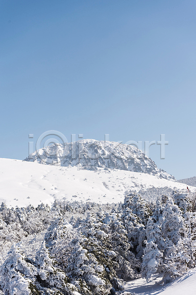 사람없음 JPG 포토 겨울 겨울풍경 나무 눈(날씨) 눈덮임 맑음 상고대 설경 야외 제주도 주간 하늘 한라산