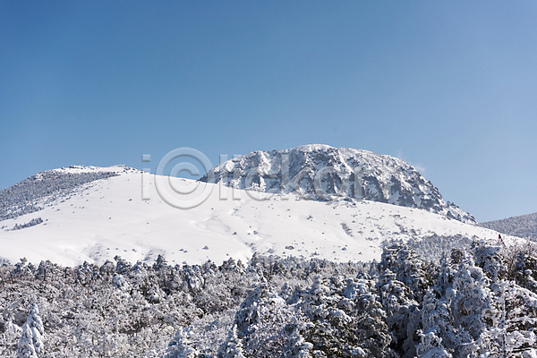 사람없음 JPG 포토 겨울 겨울풍경 나무 눈(날씨) 눈덮임 맑음 상고대 설경 야외 제주도 주간 하늘 한라산