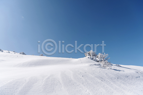 사람없음 JPG 포토 겨울 겨울풍경 눈(날씨) 눈덮임 맑음 상고대 설경 야외 제주도 주간 하늘 한라산