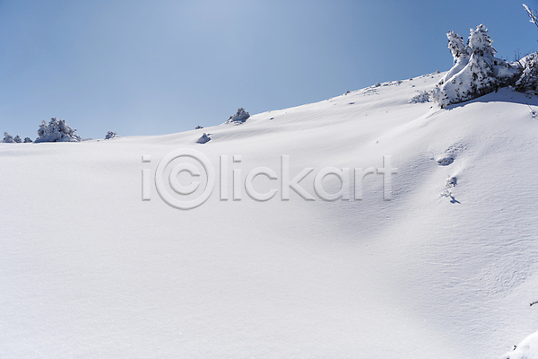 사람없음 JPG 포토 겨울 겨울풍경 눈(날씨) 눈덮임 맑음 설경 야외 제주도 주간 하늘 한라산