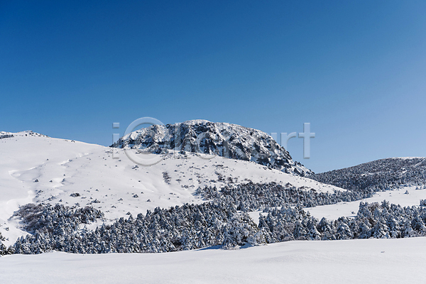 사람없음 JPG 포토 겨울 겨울풍경 나무 눈(날씨) 눈덮임 맑음 상고대 설경 야외 제주도 주간 풍경(경치) 하늘 한라산