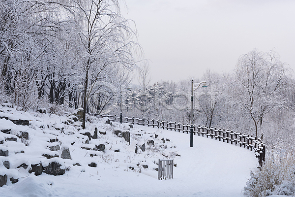 사람없음 JPG 포토 가로등 겨울풍경 나무 나무울타리 눈(날씨) 눈꽃 눈덮임 설경 숲 야외 자연 주간