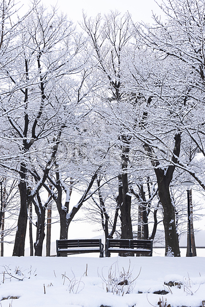 사람없음 JPG 포토 겨울풍경 공원 나무 눈(날씨) 눈꽃 눈덮임 벤치 설경 숲 야외 자연 주간