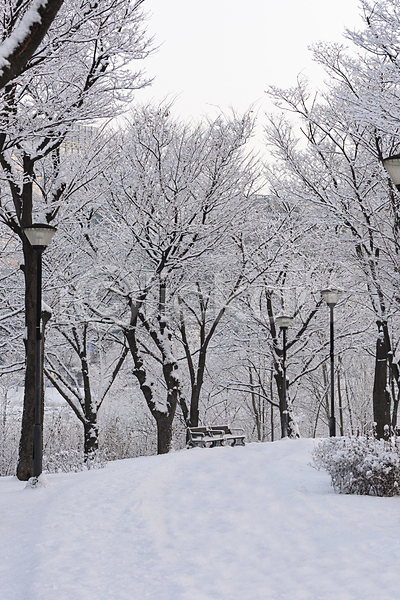 사람없음 JPG 포토 가로등 겨울풍경 공원 나무 눈(날씨) 눈꽃 눈덮임 벤치 설경 숲 야외 자연 주간