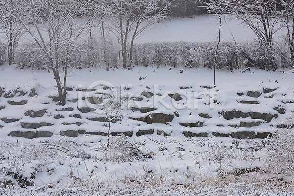 사람없음 JPG 포토 겨울풍경 나무 눈(날씨) 눈덮임 돌(바위) 설경 야외 자연 주간